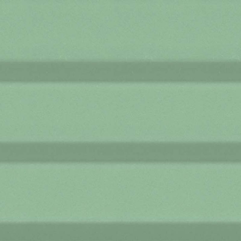 Mint 6x25